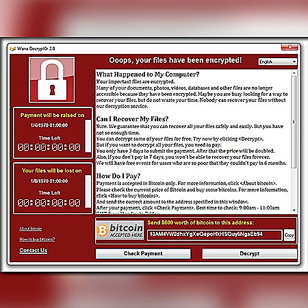 תוכנת הכופר דורשת מאות דולרים מהקורבן