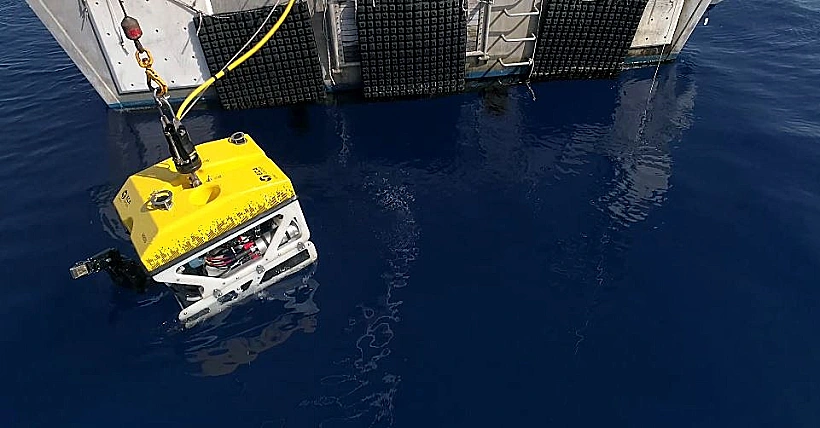 רותי בפעולה