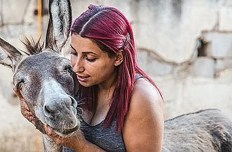 שרון וחמוריקו