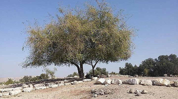 חנוכה בחבל מודיעין