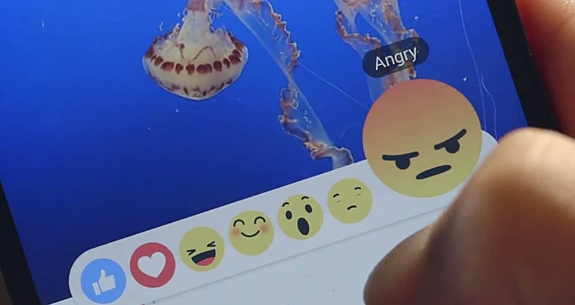 כל זה יראה: כפתור הדיסלייק של פייסבוק