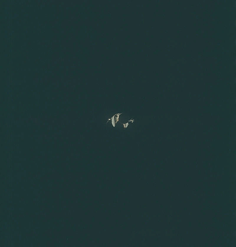 ארכיון התמונות של משימות אפולו נפתחת לקהל הרחב