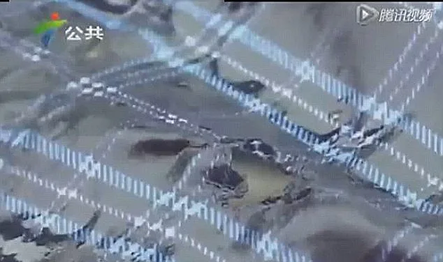 נפגעה מברק וניצלה הודות לחזייה