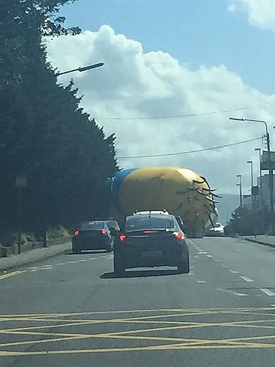 המניונים כובשים את דאבלין