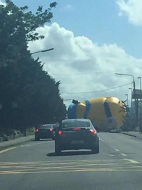 המניונים כובשים את דאבלין