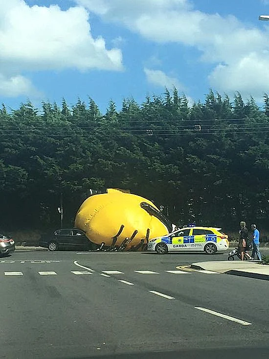 המניונים כובשים את דאבלין