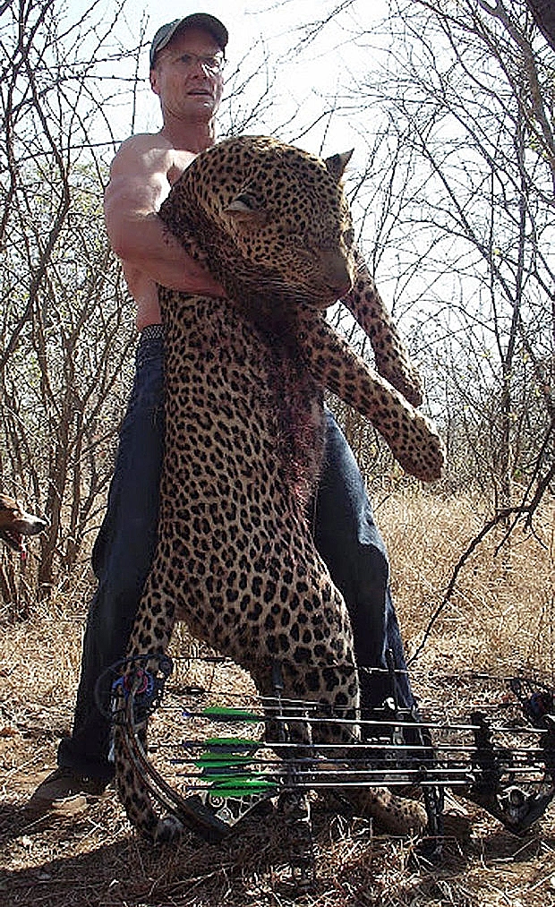ססיל האריה מזימבבואה שנהרג על ידי ציד