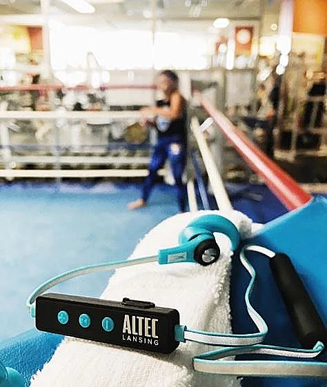 אלטק לנסינג