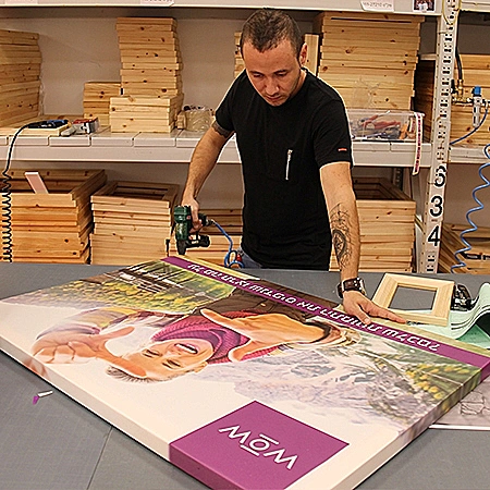 אניית שפירא