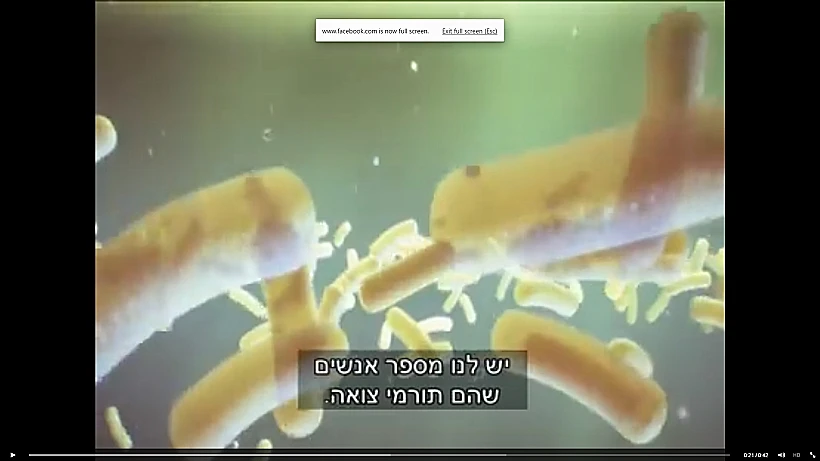 מלחמת החידקים
