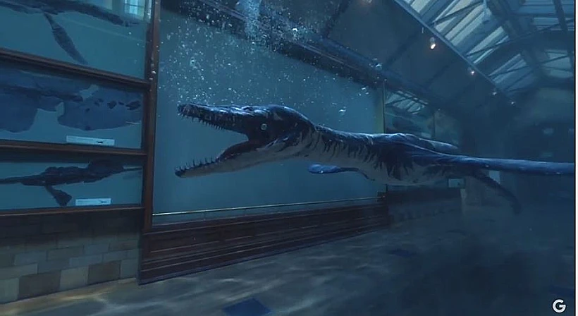 השוואת ציוני מצלמות סמארטפונים