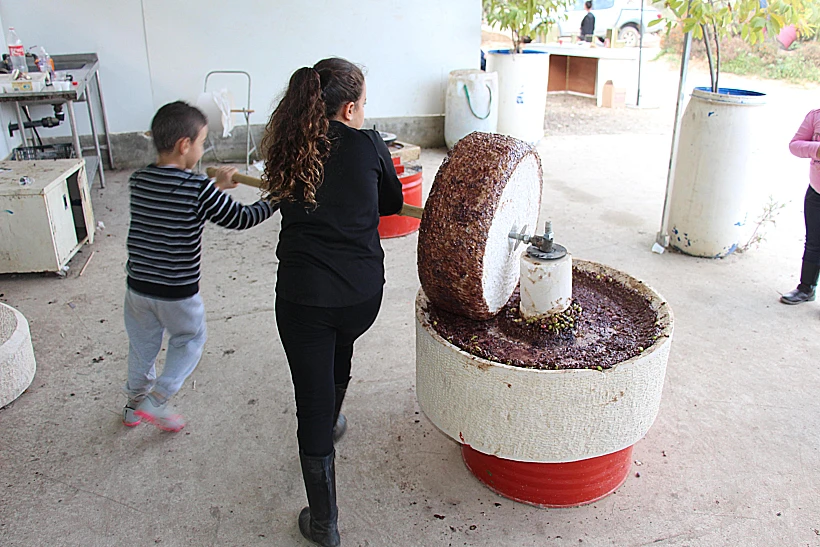 גן ילדי ישראל