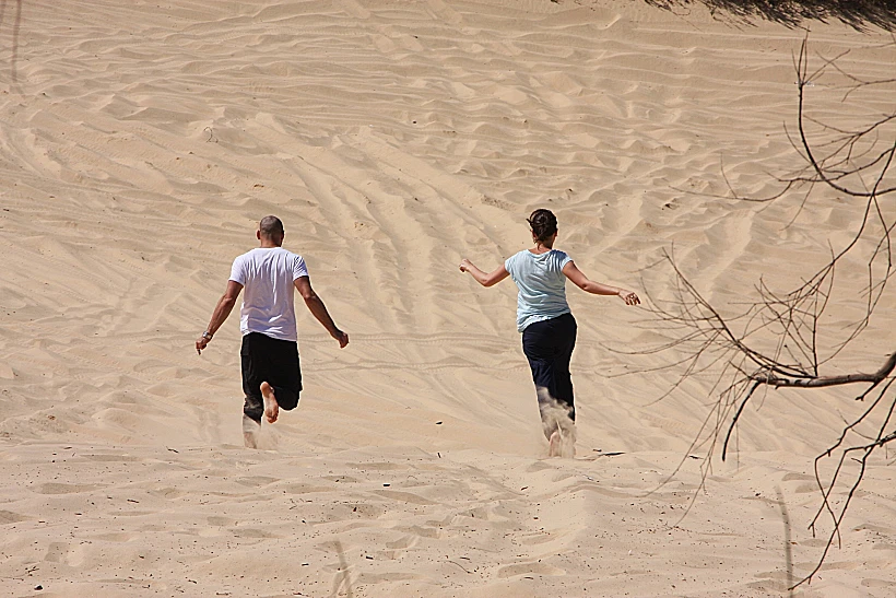 הדיונה הגדולה באשדור