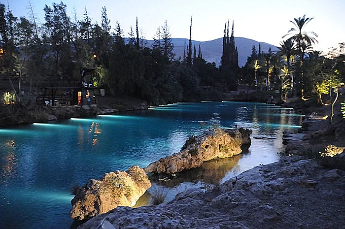 פעילות לילה