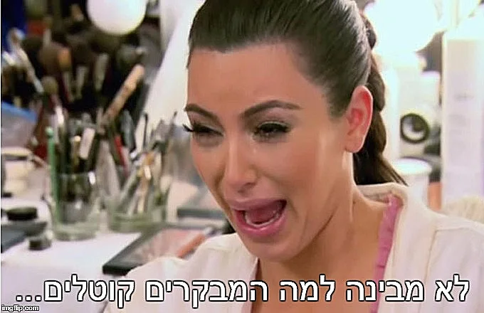 היט גירלז