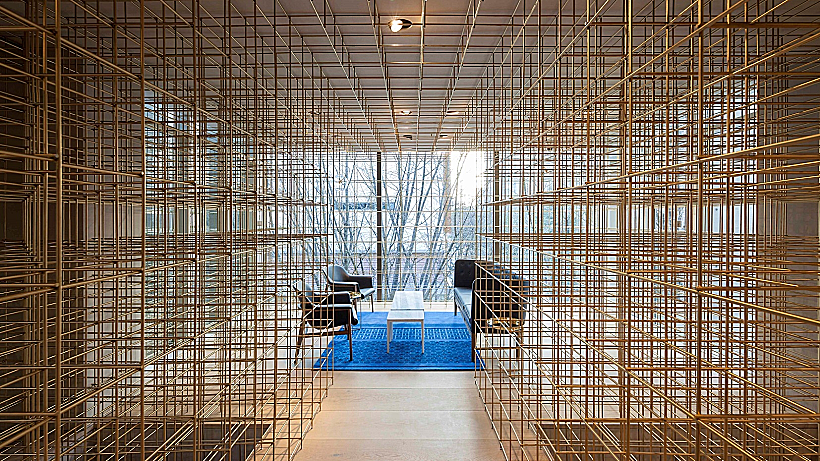 כלבו בסיאול