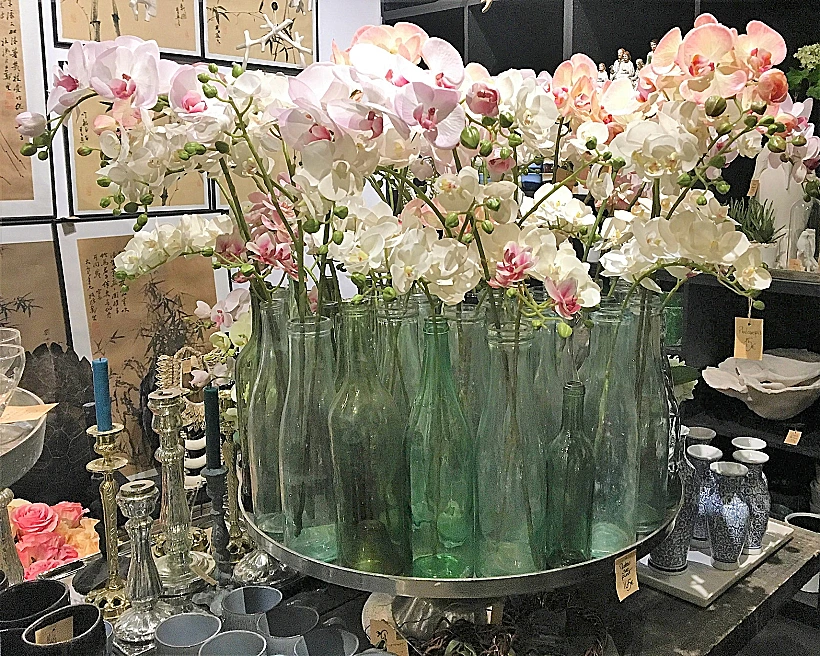 מזהים מה זה?, צילום לירון סימסולו דגן