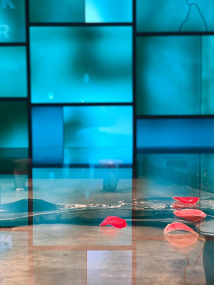 מזהים מה זה?, צילום לירון סימסולו דגן