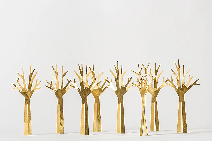 זום על חומוס, לירון צנחני ואנה שפירא