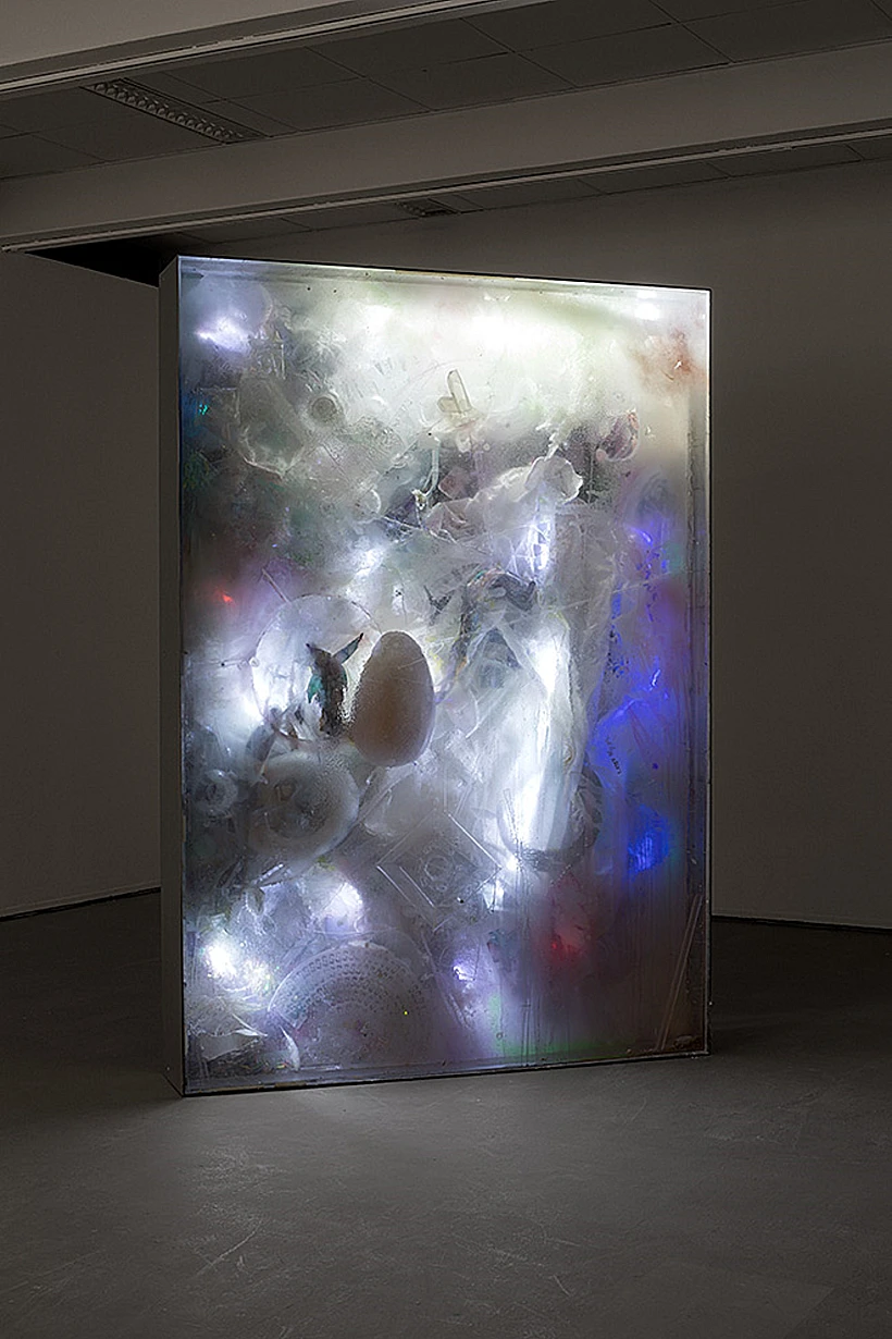 איתן בן משה, הפורטל