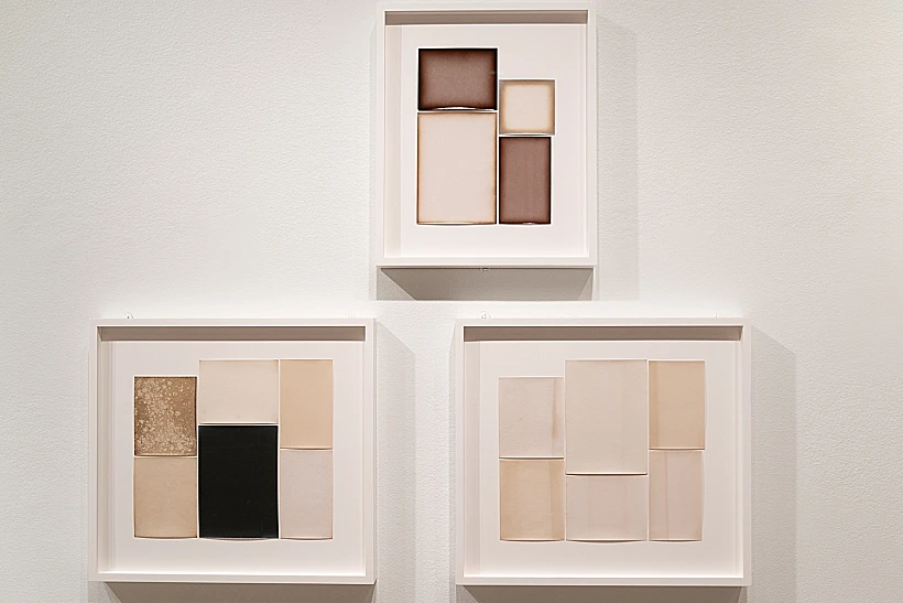 אליסון רוסיטר