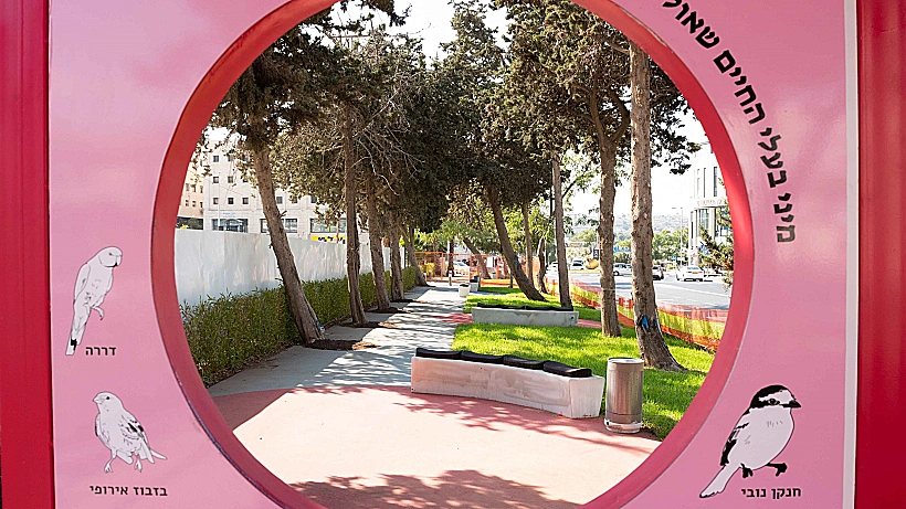 פרויקט התחדשות, רחוב פייר קניג (צילום דניאל רחמים)