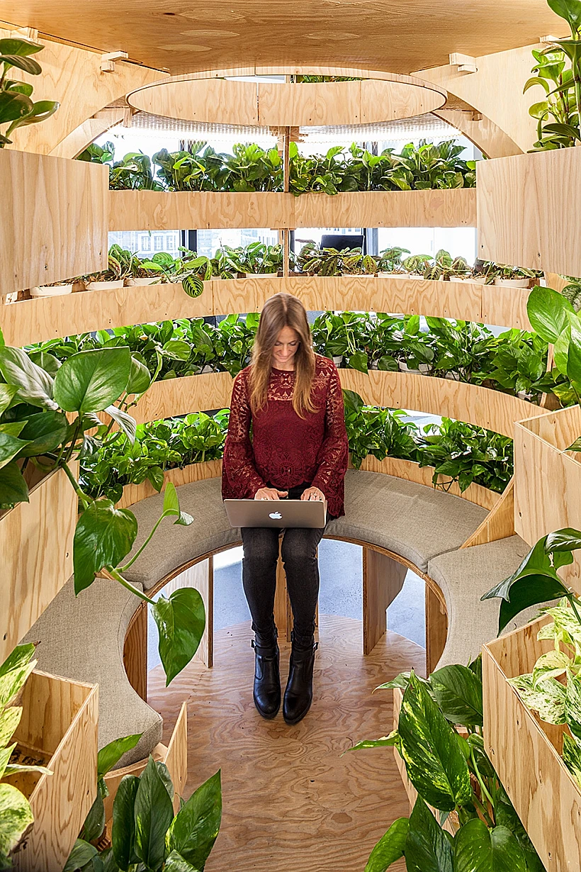 קלי רובינסון