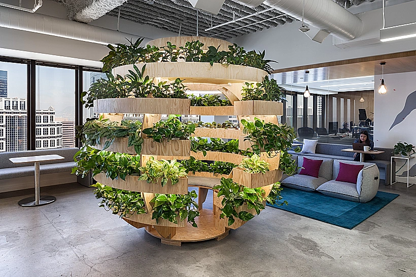 עיצוב ירוק בחללי עבודה