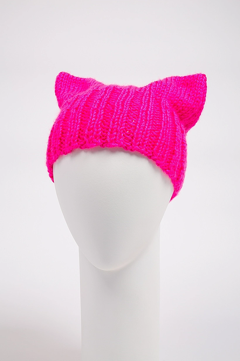 פוליטיקה, פוסיהט - פרויקט חברתי לקידום ענייני נשים, אניטה הולמקוויסט, 2017