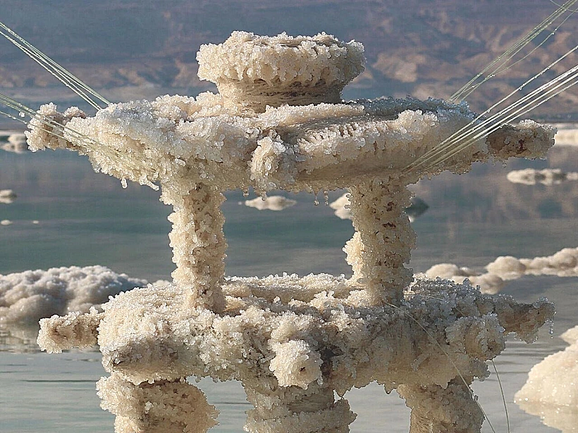 הפרויקט בתהליך, ארז נבי פאנה