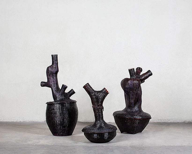 בית חרושת לבשר, שחר ליבנה