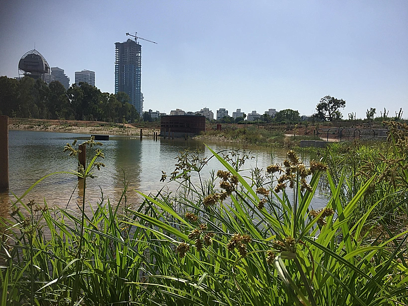 טבע פראי בפארק הירקון
