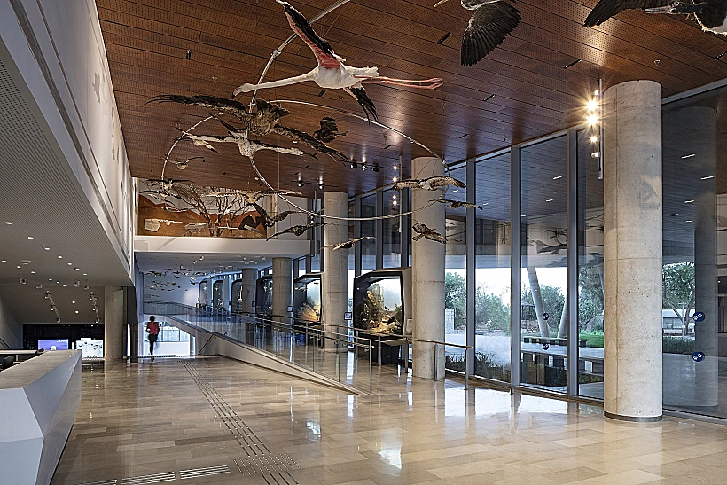 מוזיאון הטבע