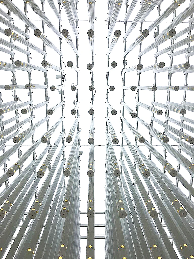 לאן אנחנו שייכים? המיצב של טורקיה