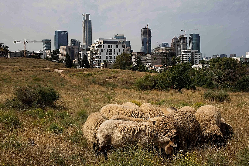טבע פראי בפארק הירקון