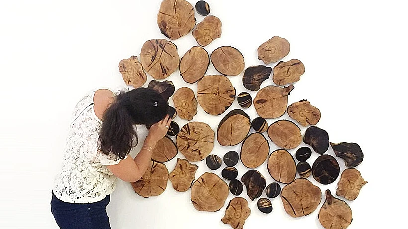 סיפור באמצעים ויזואליים, מלון יערים