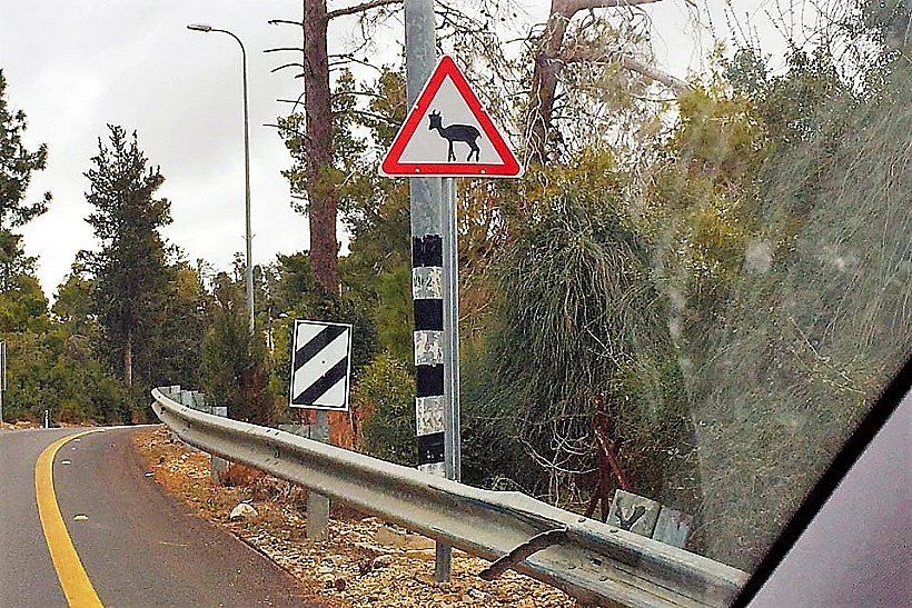 השראה מהסביבה הקרובה, גורדוניה