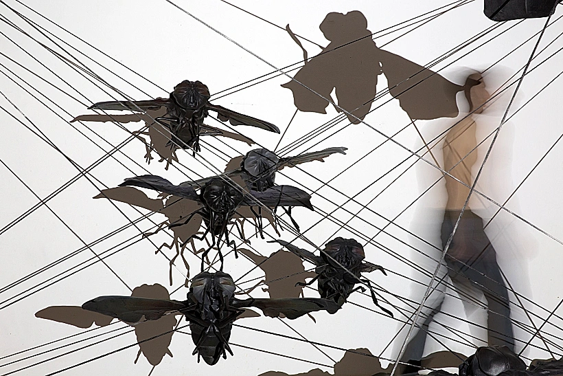 רן סלפק, נחיל