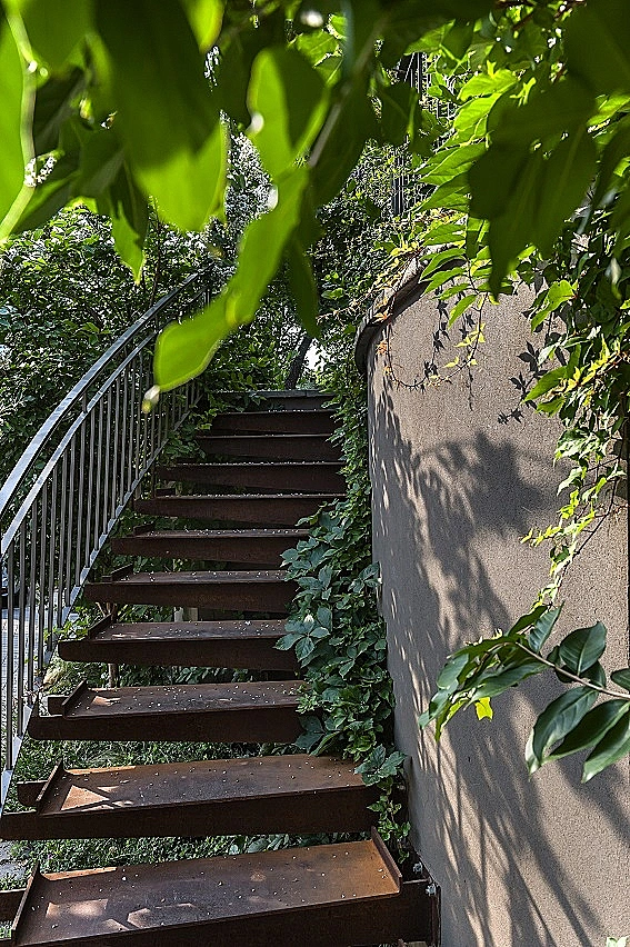 גינות כחלק משמירה אקולוגית על הבית