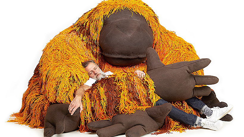 אורנגאוטן (צילום Antonia Steyn)