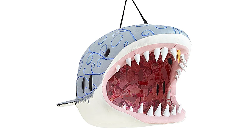 כריש לבן (צילום Antonia Steyn)