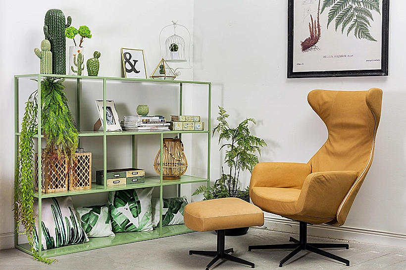 קולקציית קיץ Contrast