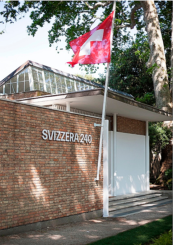 הביתן השוויצרי, מראה מבחוץ