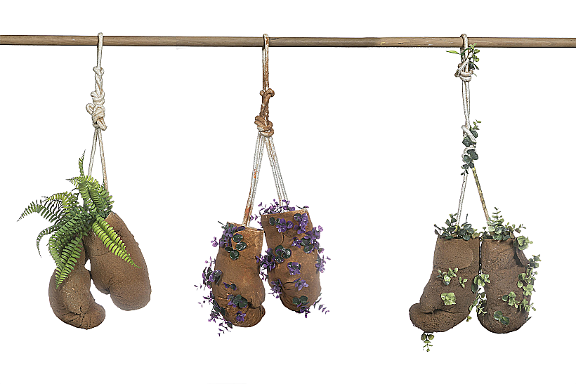 רחלי שרפשטיין לפלורליס