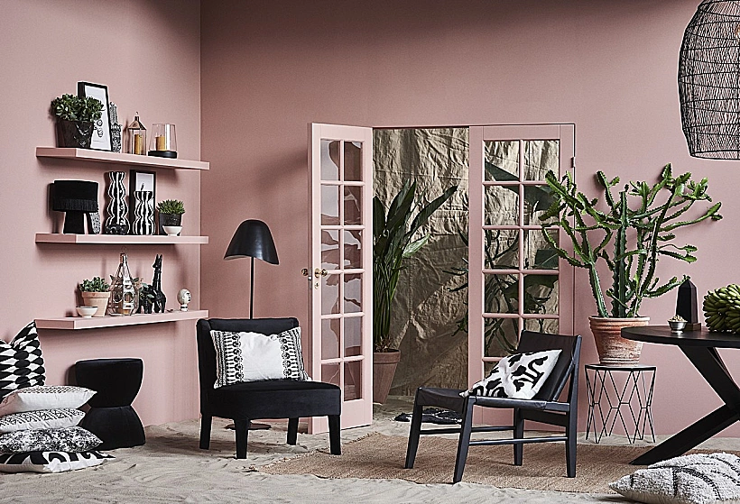 קולקציית Day