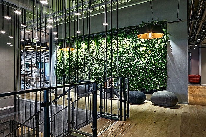 מהות החברה כחלק מהעיצוב