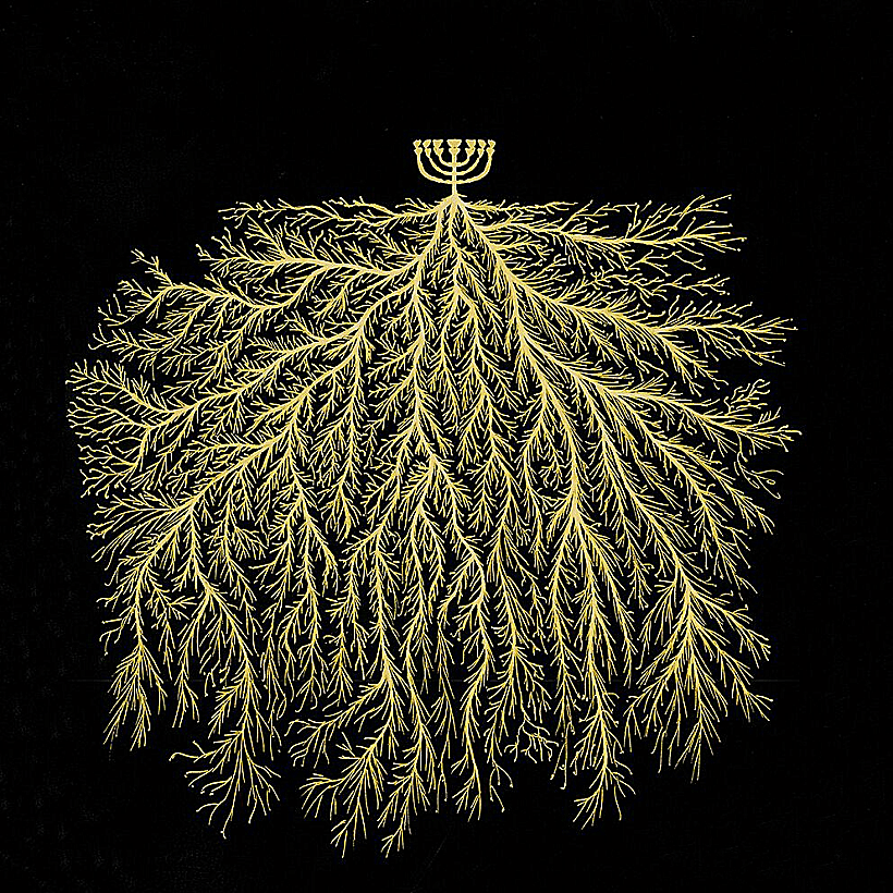 490 קנים (הדמיה יוסי למל)