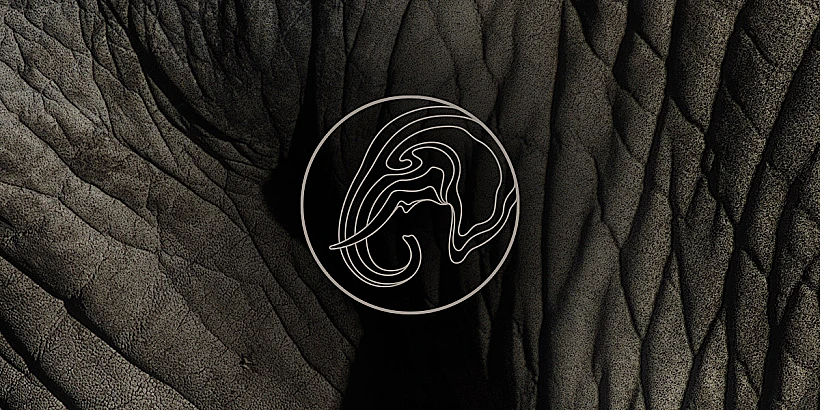 לוגו קרן הפילים