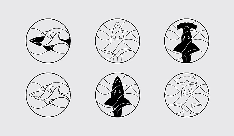 מחקר גרפי עבור קרן הכרישים