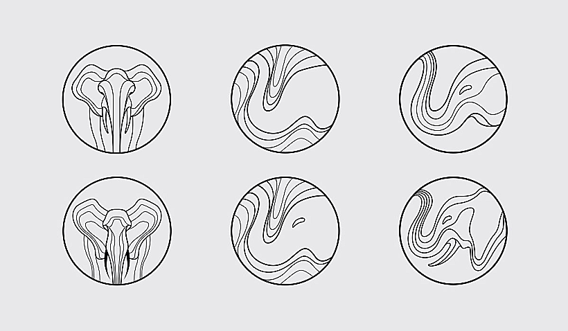 מחקר גרפי עבור קרן הפילים